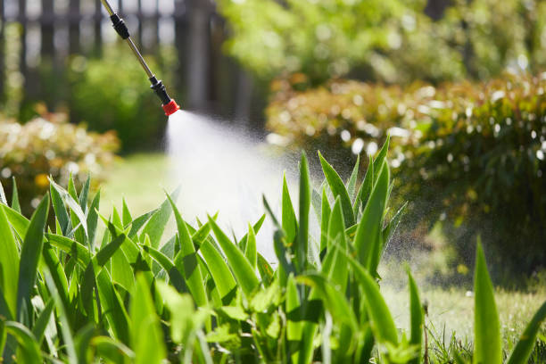 24/7 Emergency Mosquito Control experts in Ava, MO